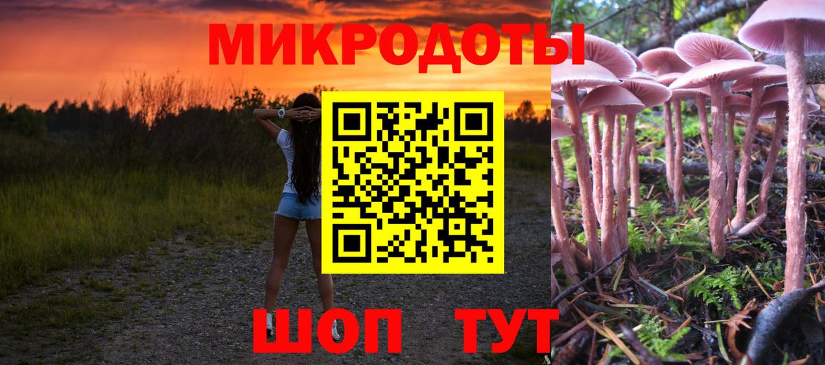 Псилоцибиновые грибы MAGIC MUSHROOMS  Псилоцибиновые грибы GOLDEN TEACHER  Карабулак  Вход с VPN 